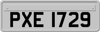 PXE1729