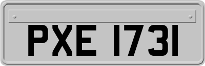 PXE1731