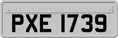 PXE1739