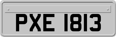 PXE1813