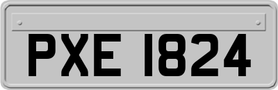 PXE1824