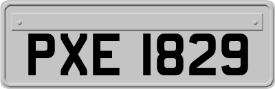 PXE1829