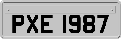 PXE1987