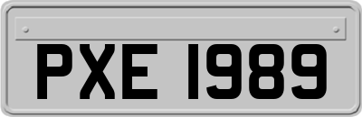 PXE1989