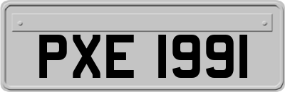 PXE1991