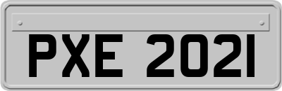 PXE2021