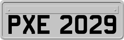 PXE2029