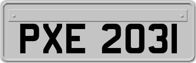 PXE2031