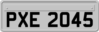 PXE2045