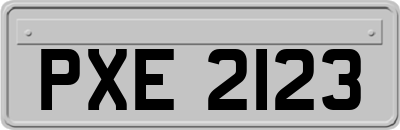 PXE2123