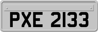 PXE2133