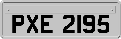 PXE2195