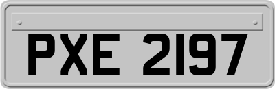 PXE2197