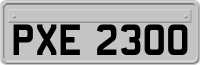 PXE2300