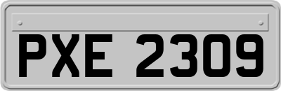 PXE2309