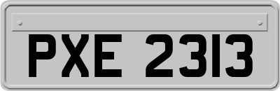 PXE2313