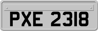 PXE2318