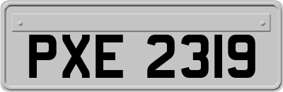 PXE2319