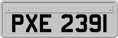 PXE2391