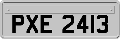 PXE2413