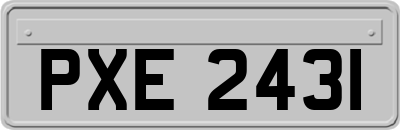 PXE2431