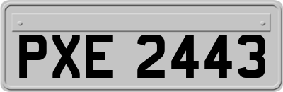 PXE2443