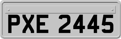 PXE2445