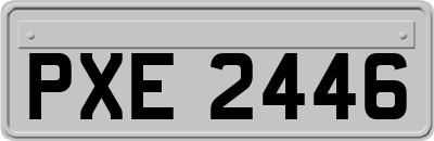 PXE2446