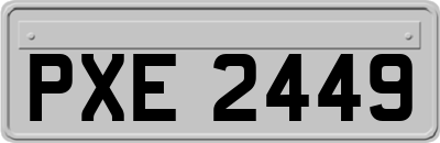 PXE2449