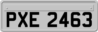 PXE2463