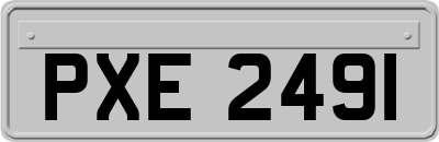 PXE2491