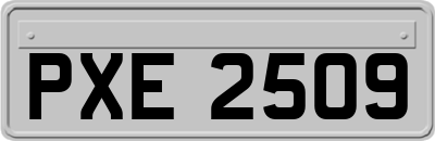 PXE2509