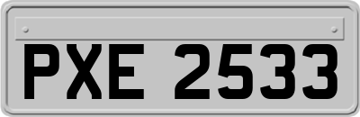 PXE2533