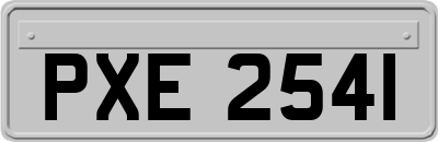 PXE2541