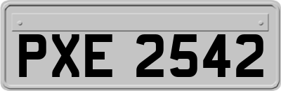 PXE2542