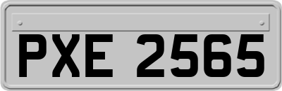 PXE2565