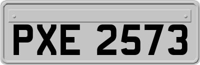 PXE2573