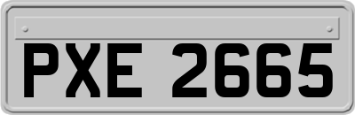 PXE2665