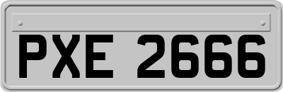 PXE2666