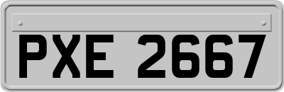 PXE2667