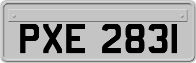 PXE2831