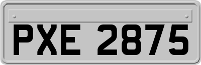 PXE2875