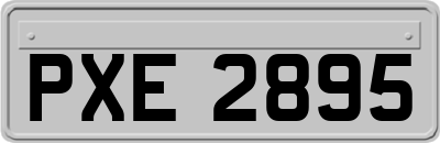 PXE2895