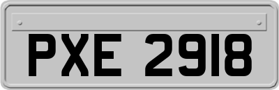 PXE2918