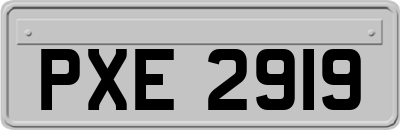 PXE2919