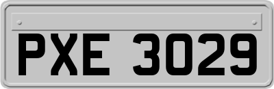 PXE3029