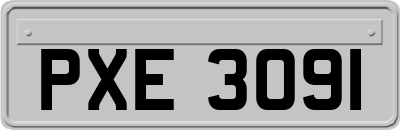 PXE3091