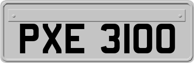 PXE3100