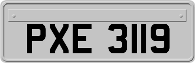 PXE3119