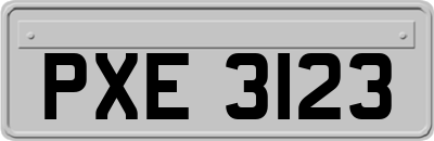 PXE3123